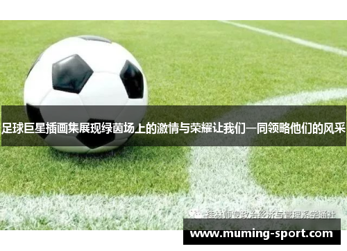 足球巨星插画集展现绿茵场上的激情与荣耀让我们一同领略他们的风采